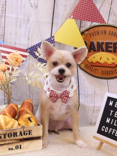 20240911リクくん